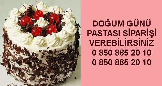 Krklareli Meyveli Kp doum gn pasta siparii sat